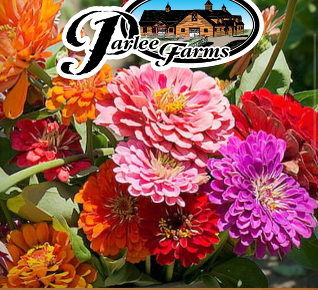 Photo of flower gardens at Parlee Farms