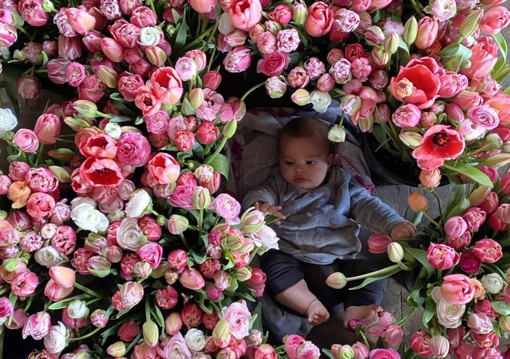 Photo of baby nestled in pink tulips
