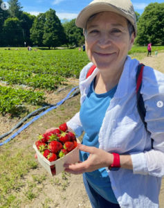 Photo of farm consultant Myrna Greenfield picking strawberries at Langwater Farm