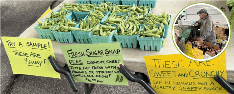 Farmer Jim Crebs, owner of Tomatoes Etc. Produce Farm, displays his peas.
